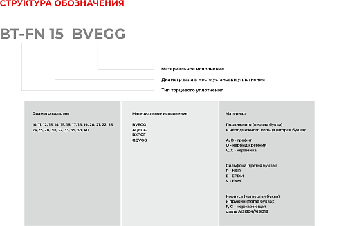 Торцевое уплотнение BT-FN 35 BVEGG в Санкт-Петербурге фото